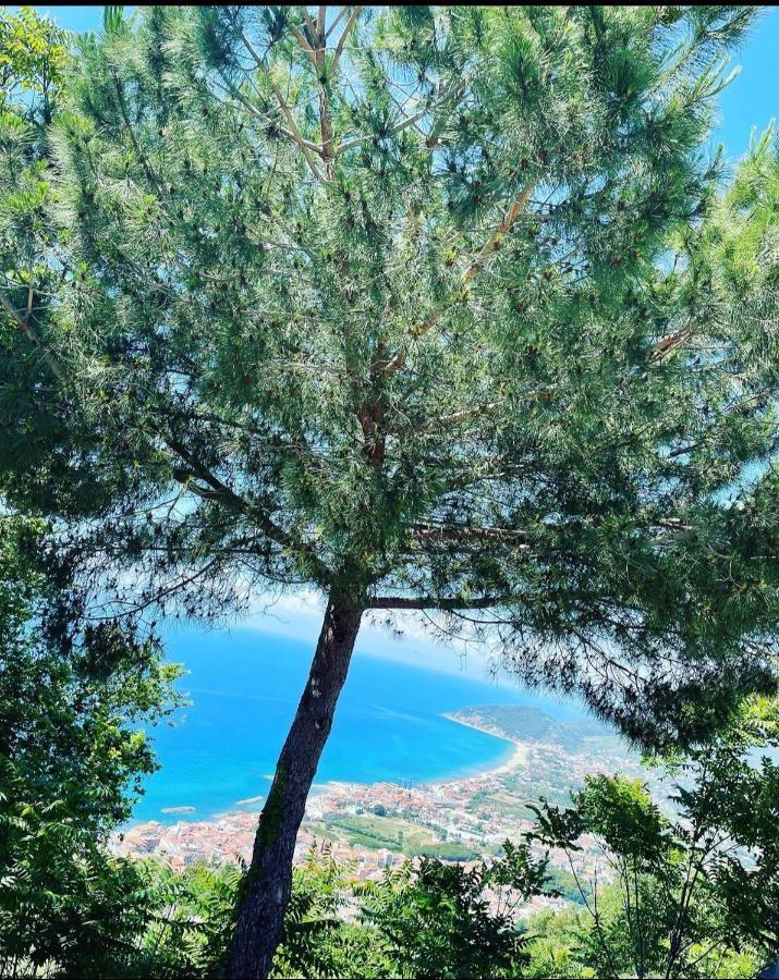 Holiday home Murat